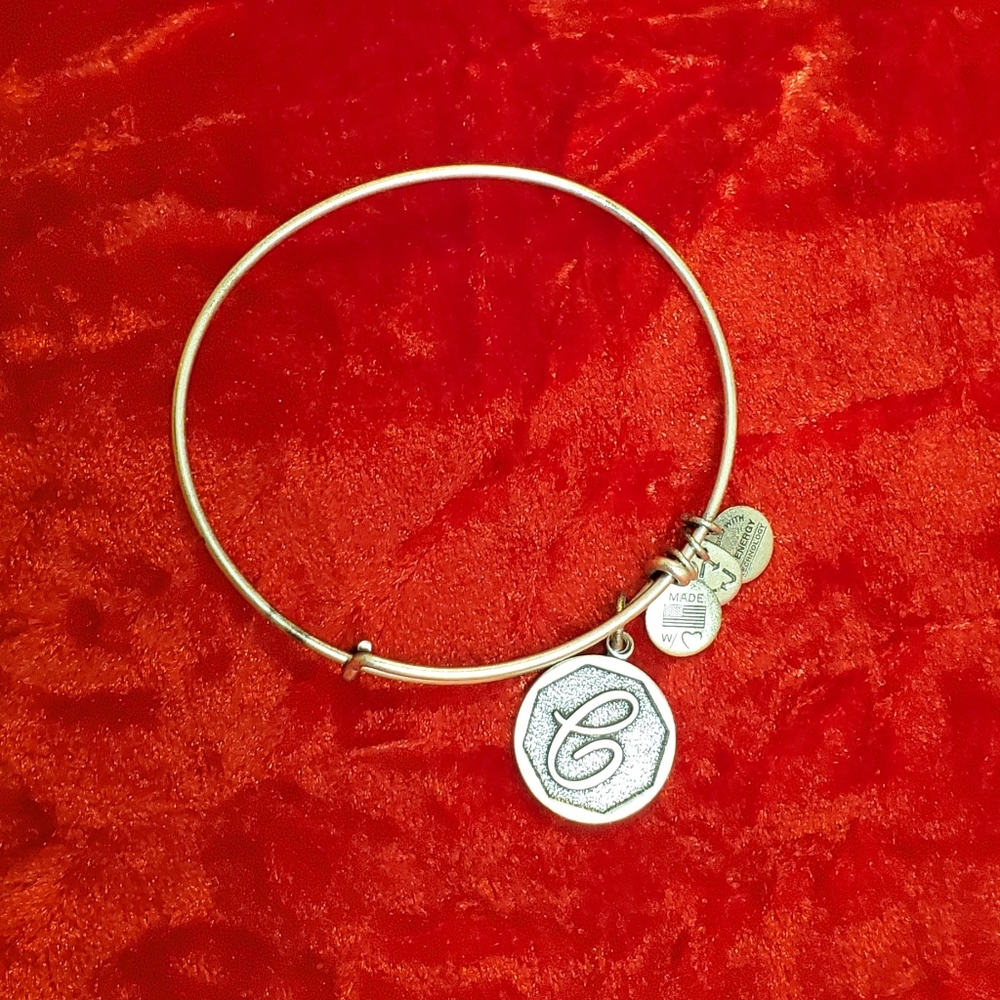 Alex and Ani Positive Energy "E" Initial Adjustable Bracelet 2014